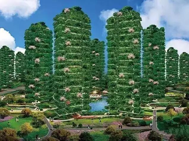 圣德保陶瓷森態(tài)石｜把森林&ldquo;植&rdquo;入家，凈享天然氧！